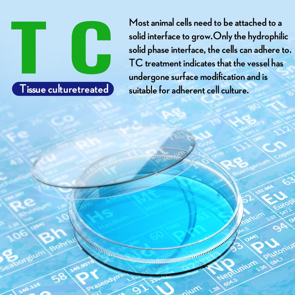 sterile Petri Dish with Lid 100mm, with 2ml Plastic Transfer Pipettes  individual package by Ks-Tek 10/Pack