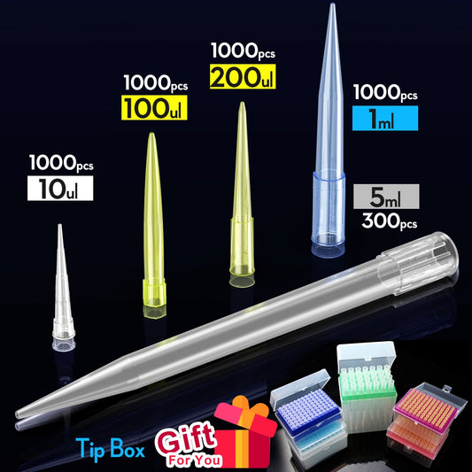 Lab 10ul 100ul 200ul 1000ul 5ml  PP Plastic Pipette Tips For Microbiological Test Pipettor Tips Disposable Pipette Tip by ks-tek