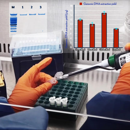 Spin Column Plasmid Extraction Kit Genome Extraction Column Nucleic Acid Purification Separation Column 2 ml 50 group by ks-Tek