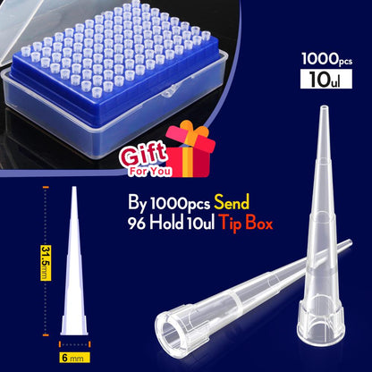 Lab 10ul 100ul 200ul 1000ul 5ml  PP Plastic Pipette Tips For Microbiological Test Pipettor Tips Disposable Pipette Tip by ks-tek