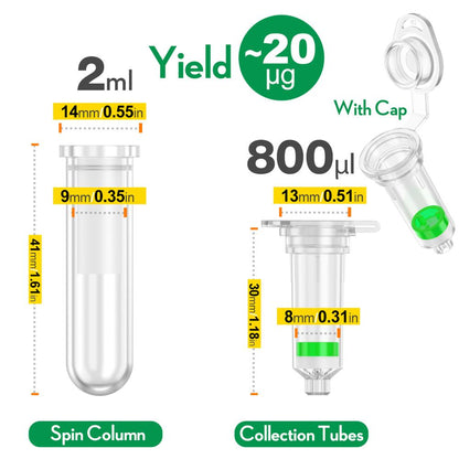 Spin Column Plasmid Extraction Kit Genome Extraction Column Nucleic Acid Purification Separation Column 2 ml 50 group by ks-Tek