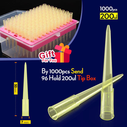 Lab 10ul 100ul 200ul 1000ul 5ml  PP Plastic Pipette Tips For Microbiological Test Pipettor Tips Disposable Pipette Tip by ks-tek