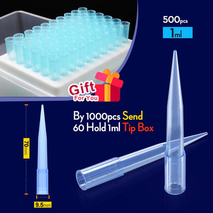 Lab 10ul 100ul 200ul 1000ul 5ml  PP Plastic Pipette Tips For Microbiological Test Pipettor Tips Disposable Pipette Tip by ks-tek